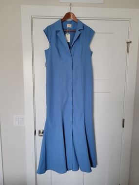 Sleeveless Collared Maxi Dress in Cornflower Blue